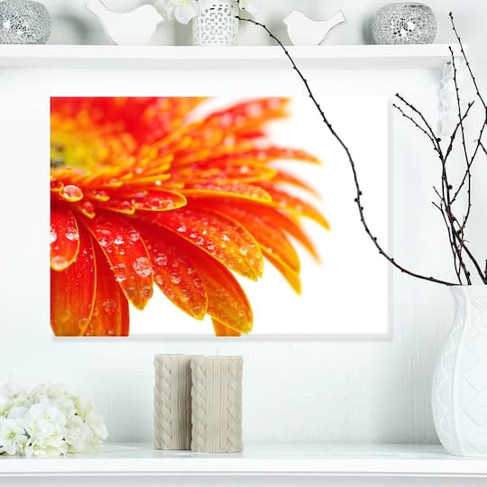 Designart - Orange Gerbera with Raindrops